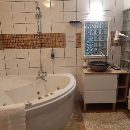 ホテル ハンサリン パルヌ