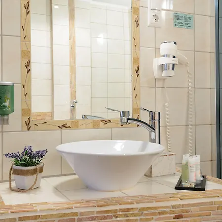 ハンサリン パルヌ